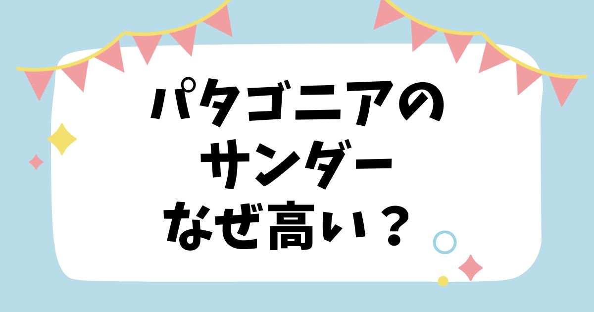 パタゴニアのサンダーなぜ高い？